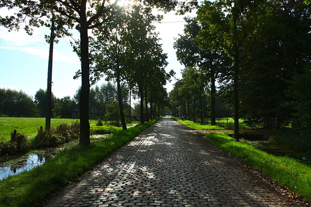 veldeken_znr_straatbeeld_f (1)