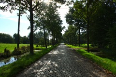 veldeken_znr_straatbeeld_f (1)