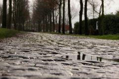 veldeken_znr_straatbeeld_f (6)